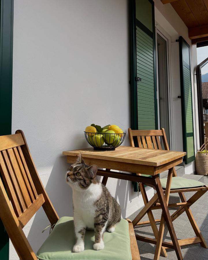 Ziano di Fiemme B&B La Casa Del Sole מראה חיצוני תמונה